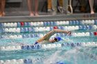 Swimming & Diving vs Babson  Swimming & Diving vs Babson College. - Photo by Keith Nordstrom : Wheaton, Swimming